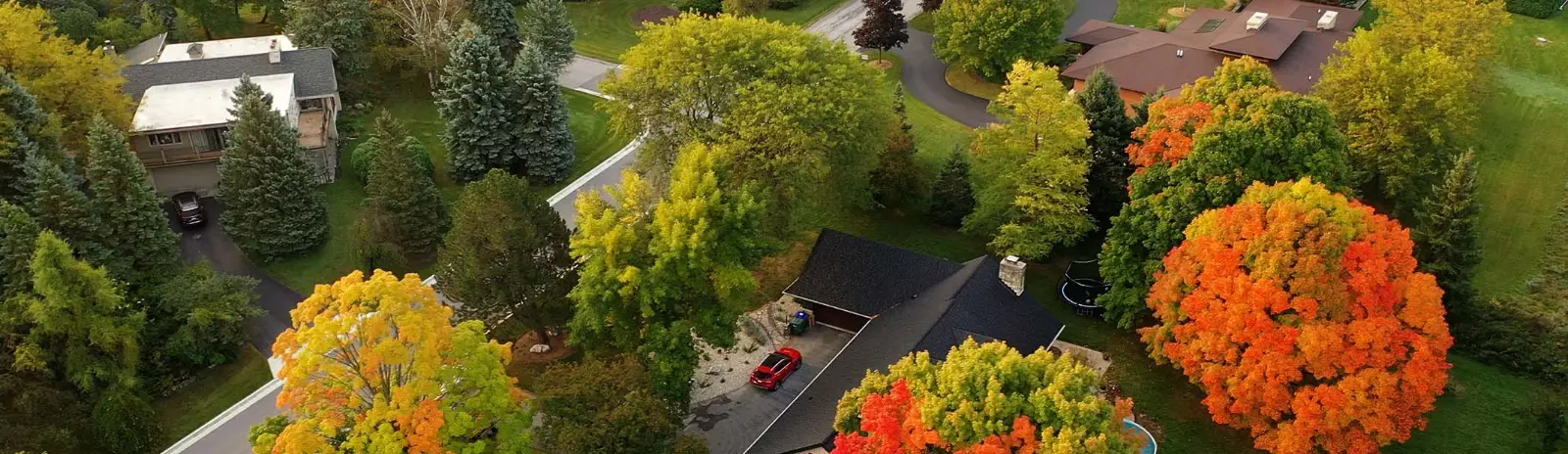 Aerial view of homes among autumn trees
